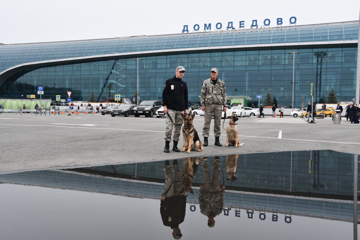 Аэропорт Внуково призывает пассажиров прибывать пораньше из-за ужесточения мер безопасности