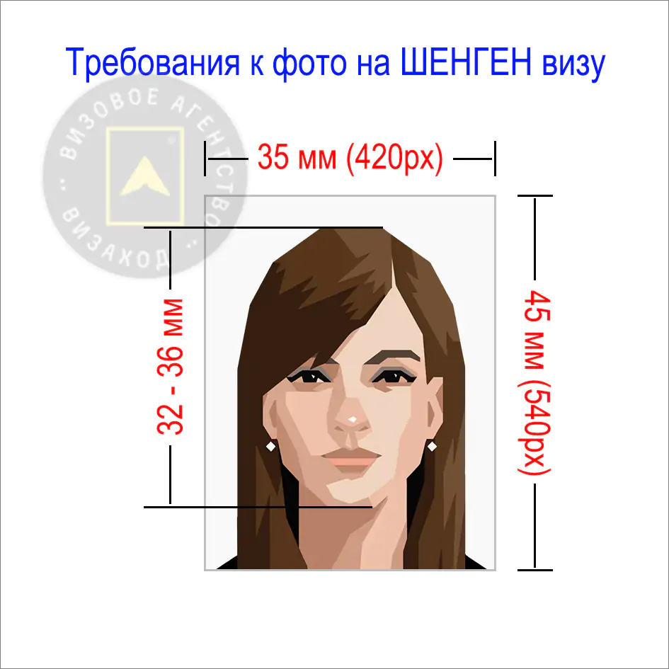 Требования к фото на шенгенскую визу