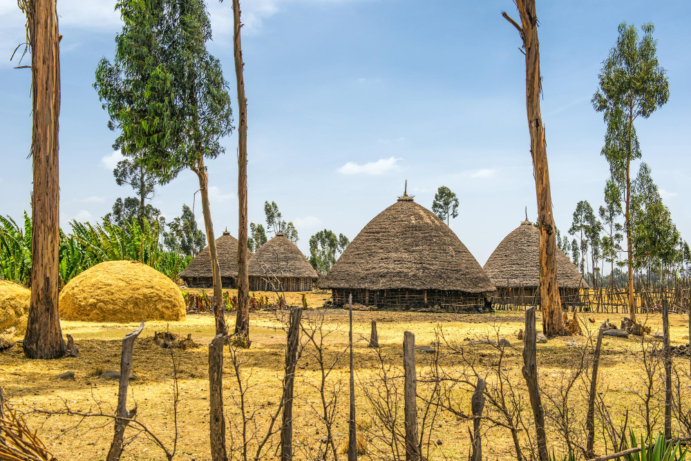 Традиционные дома в Эфиопии